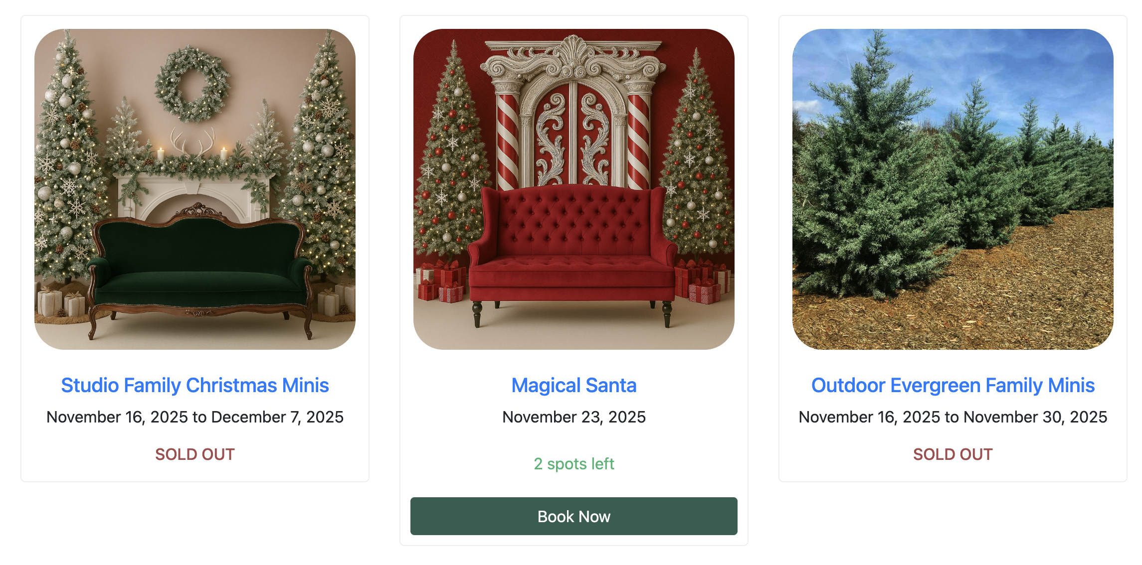 Photography Mini Sessions Booking Software